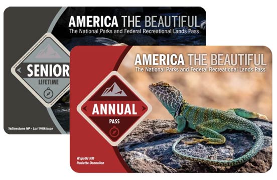 Photo of National Park Annual and Senior America the Beautiful Passes.